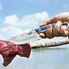 Stainless Steel Boning Knife Meat Cleaver Sharp Chicken Bone Scissors for Grilling and Cooking
