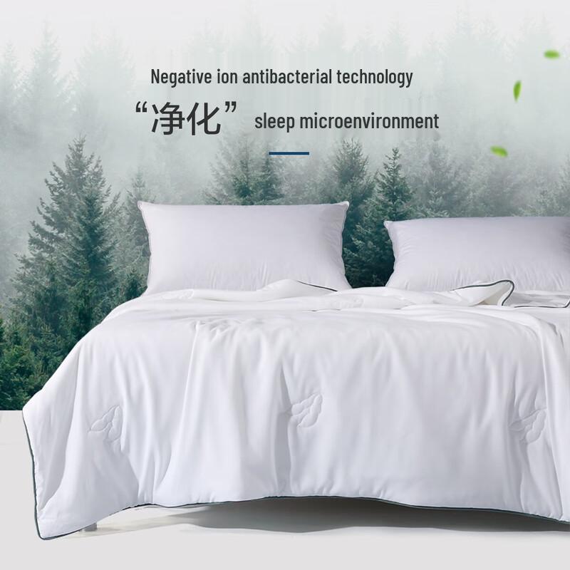 

Mercury Soybean Fiber Summer Cool Quilt, Machine Washable