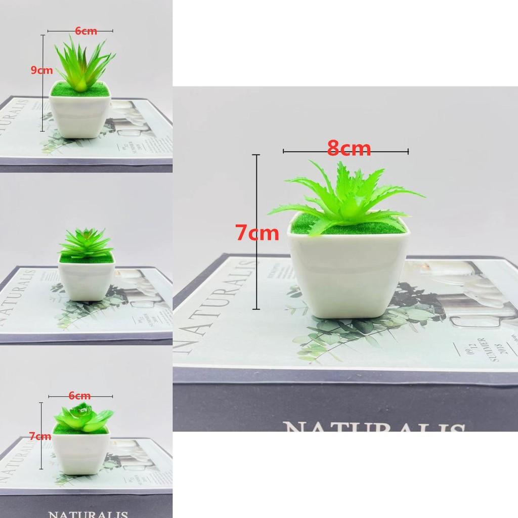 Artificial Succulent Plant With Pvc Material For Home Decor And Gift Ideas