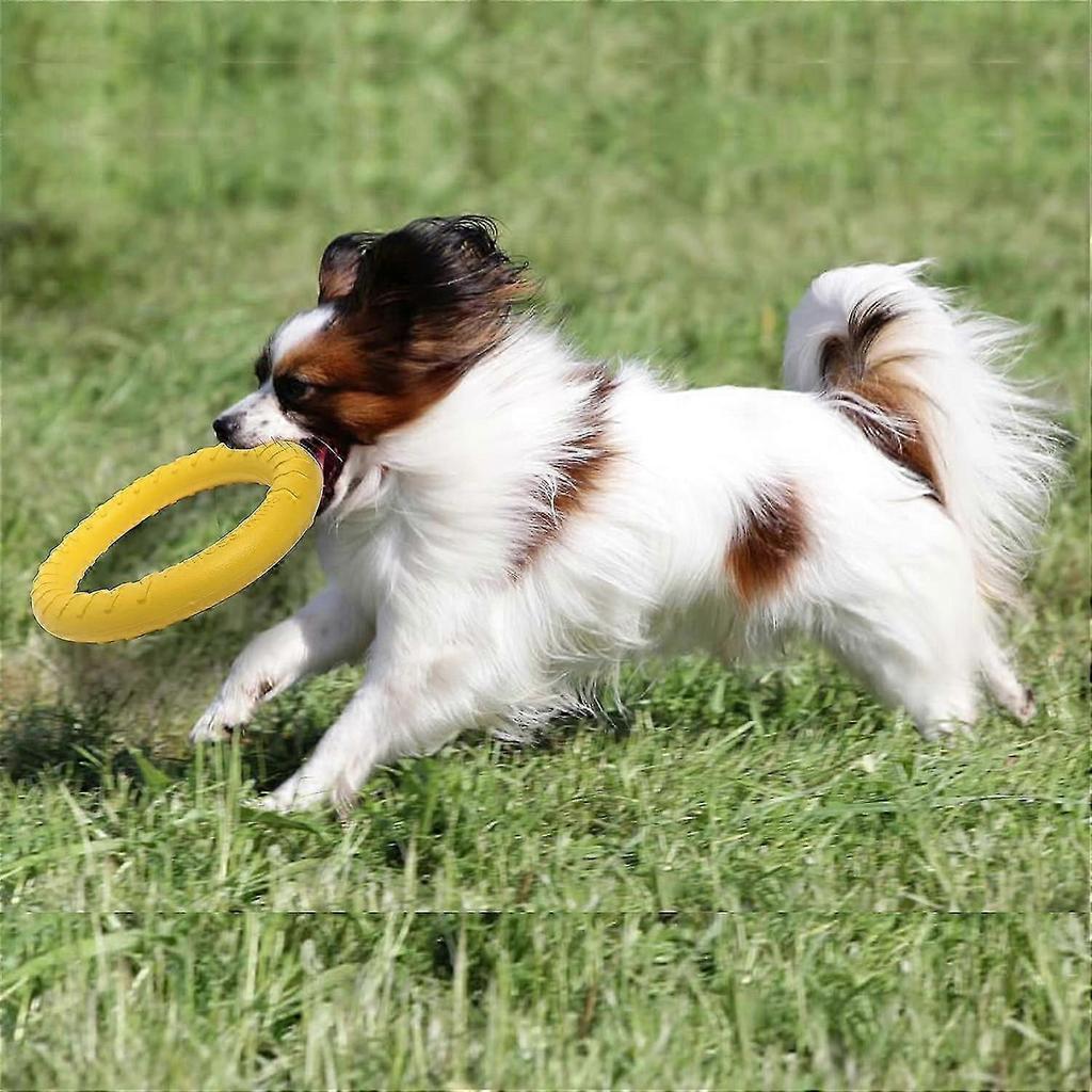 Dog Fitness Ring, Dog Bite Ring,Interactive Tug of War Training Ring  ,29cm(Yellow,Large)