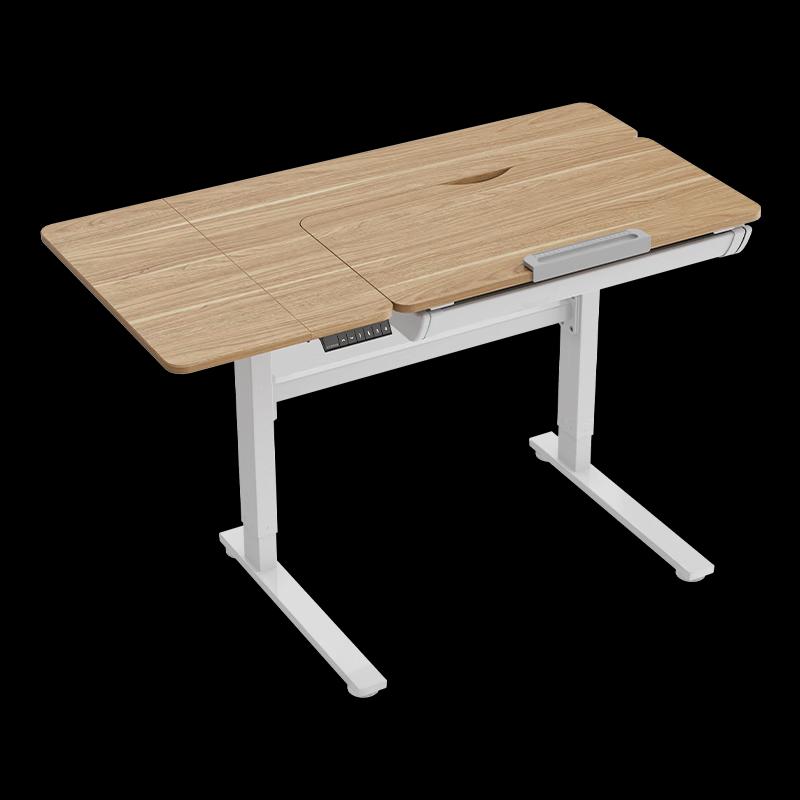 Loctek Electric Standing Desk