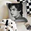 Singer Joe Keery Pillow Case Fashion Square Pillowcase Bedroom Sofa Room Ins Decoration Leisure