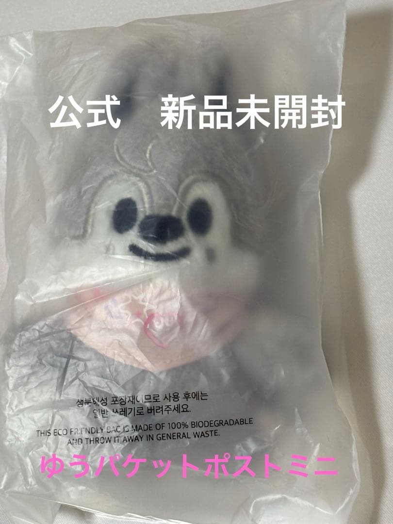 

[USED] Bang Chan Plush Toy 10 skzoo