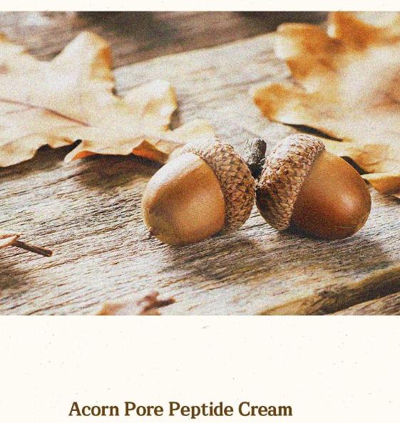 Acorn Pore Firming Cream for Smooth & Elastic Skin