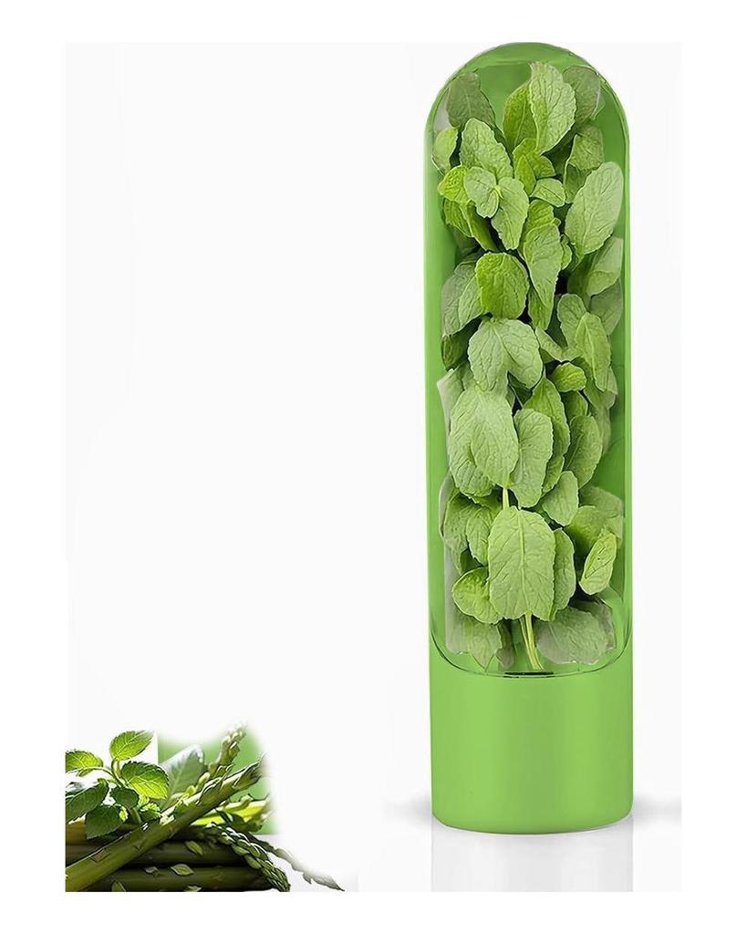 Chladnička Herb Crisper Saver Pod Nádoba Láhev na zavařování zeleniny Udržujte bylinky/koriandr/máta/petržel/chřest čerstvé zelené
