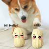Teeth Interactive Bite Resistant Peanut Dog Toy Pet Toy Ball Squeak Vocal Molar