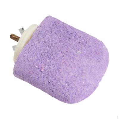 Bird Perch Trimmer Easy To Install Exercise Beak Grinding Stand Parrot for Cockatiels, Paws