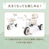 Ides Natural Trike Tricycle with Footrest Push Rod and Safety Bar for Children and Toddlers the [Official] Step, (Winnie Pooh)