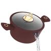 TITANIUM POT WITH LID 30cm BERLINGER HAUS BH-8043 LEONARDO