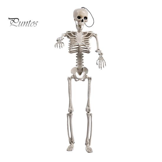 

Скелет на Хэллоуин Скелет всего тела Череп с подвижными суставами Украшение дома с привидениями Страшный усилитель атмосферы для вечеринок на Хэллоуин Бары белый