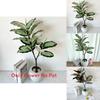 Ochrosia Maculata Jacq Tree Synthetic Greenery For Indoor Home Office Decoration And Photography