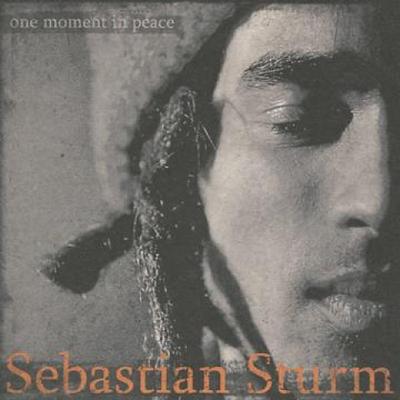 CD SEBASTIAN STURM - One Moment In Peace MAF006 Soulbeats 2008 France Reggae, Ska & Dub