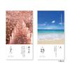 New Japan Calendar 2026 Daily Morning NK8830 Calendar, Calendar,