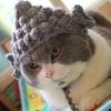 Soft and Cozy Cat Hat With Plush Ears, Handcrafted Cute Bear Design Warm Pet Headwear for Cats and Small Dogs