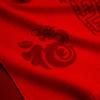 Dragon Zodiac Big Red Scarf Men's and Women's Autumn and Winter Natal Scarf 2025 Will Be Fixed Shawl
