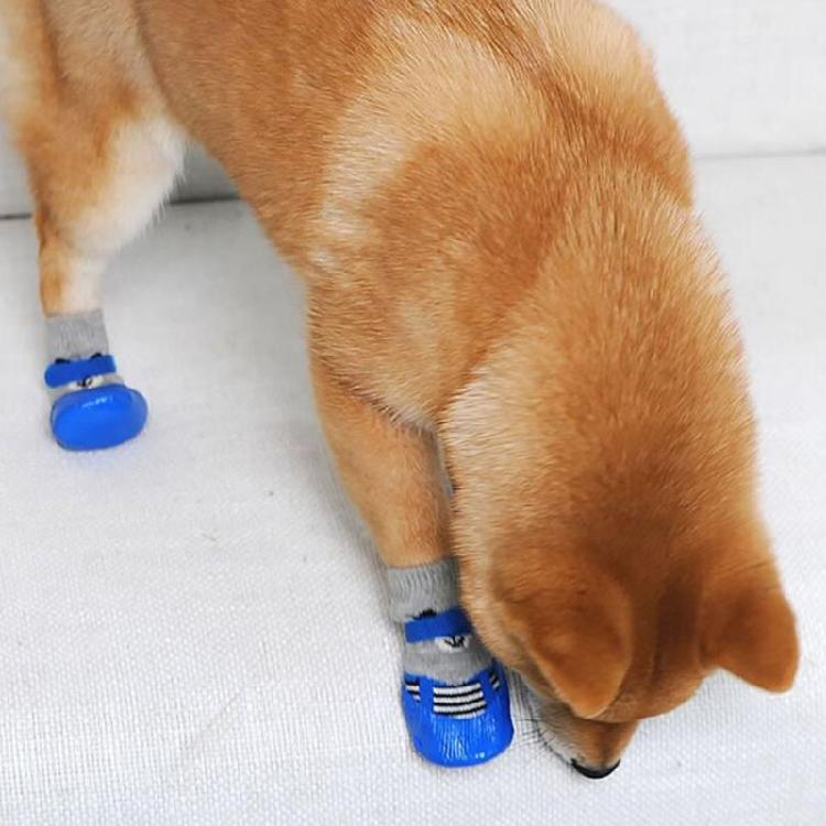 Waterproof Dog Socks For Medium Dogs Pet Dog Socks Pet Outdoor Shoes Non-slip
