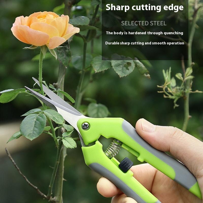 Gardening Scissors Pruning Shears Fruit and Vegetable Shears Branches Fruit Tree Grape Picking Shears Garden Tools Picking Fruit