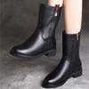 New Martin Boots, Short-top Versatile Shoes, Height-increasing, Warm, Fleece Side Zipper Boots, Women's Shoes