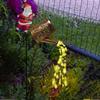 Outdoor Sprinkler Solar Light,  Design, Can Be Hung In Courtyards, Lawns, Paths, Etc.
