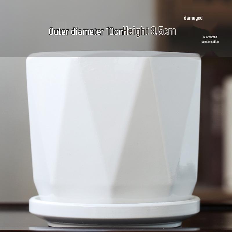 Elegant White Ceramic Flower Pot with Tray - Ideal for Ivy, Spider Plants, and Succulents