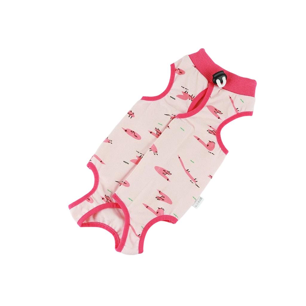 Post-operative Recovery Clothing For Cats
