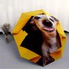 1pc Puppy Playful Automatic Open/Close Umbrella - Compact Travel Umbrella, 8-Rib Heavy-Duty Construction, Ideal Gift, Outdoor Accessory010