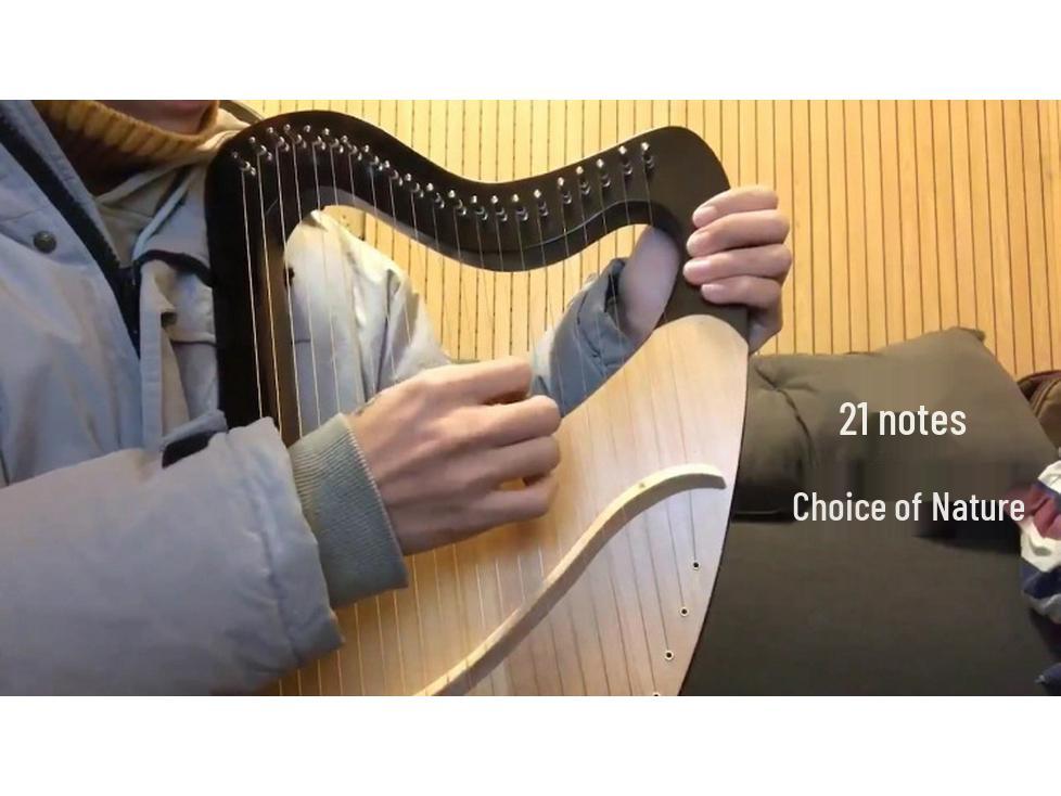 Arpa Lira a 21 Corde in Mogano: Strumento Portatile in Legno per Principianti, Arpa Chitarra Artigianale in Abete