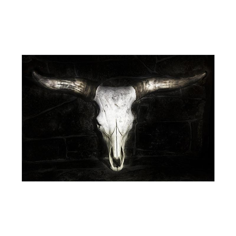 

Картина на холсте с черепом быка, винтажный постер с дикой жизнью, черно-белая картина с животным для гостиной, дома, настенный художественный декор, Куадрос 21x30cm No Framed