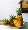 Pineapple Fruit Food Sample Model Okinawa Hawaii Tropical Restaurant Cafe Coffee Shop Display Exhibit Exquisite Realistic Artisanal [Myth Square]