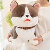 25/35cm Glückshund Puppe Stofftier Plüschtier Handgemachte Puppe Cartoon Anime Niedliches Kissen Kissen Lustiges Kindergeburtstagsgeschenk Puppe