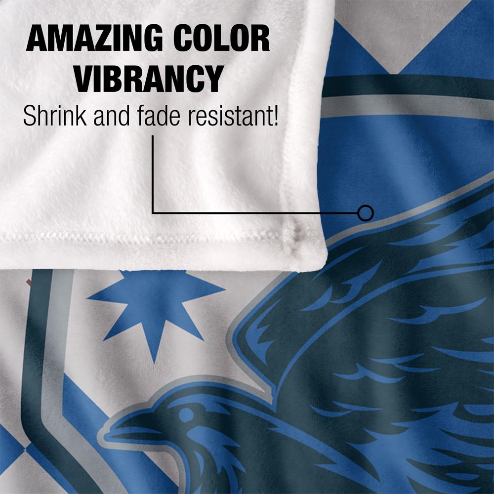 Harry Potter Ravenclaw Blanket