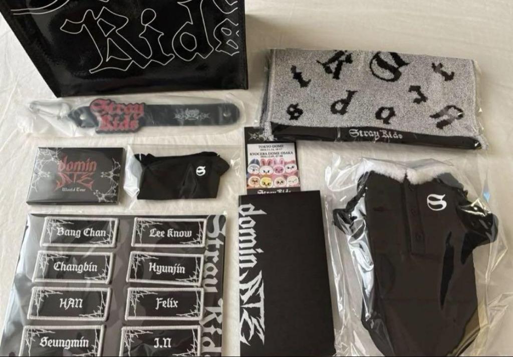 [USED] StrayKids AppGrade Bonus DominATE 2024.2025