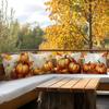 Autumn Harvest Pumpkins Cushions Pillowcase Polyester Cushion Cover Throw Pillow Sofa Decoration Pillowcover Home Car Decor