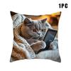 New Cat Pattern Square Pillow Cover 18X18 Inches Single-sided Printed Pillow Cover Home Pillow Cover Living Room Decoration