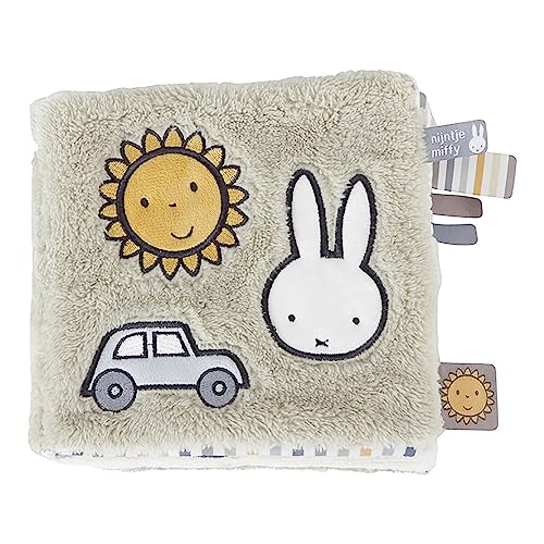 DADWAY miffy Miffy Fabric Book Fluffy/Blue TYMIFNIJN924