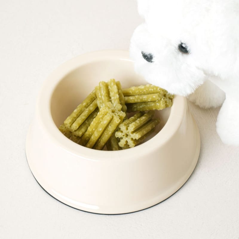 [Pet] Daily Nutritional Snack, 80 G Of Lactic Acid Bacteria Per Day