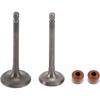 Intake & Exhaust Valve Kit for Yamaha TTR125 TTR125E TTR125L TTR125LE XT125 YBR125 YFA1 Breeze YFM125 Grizzly - Replaces 5VL-E2111-00 5HH-E2121-00 -