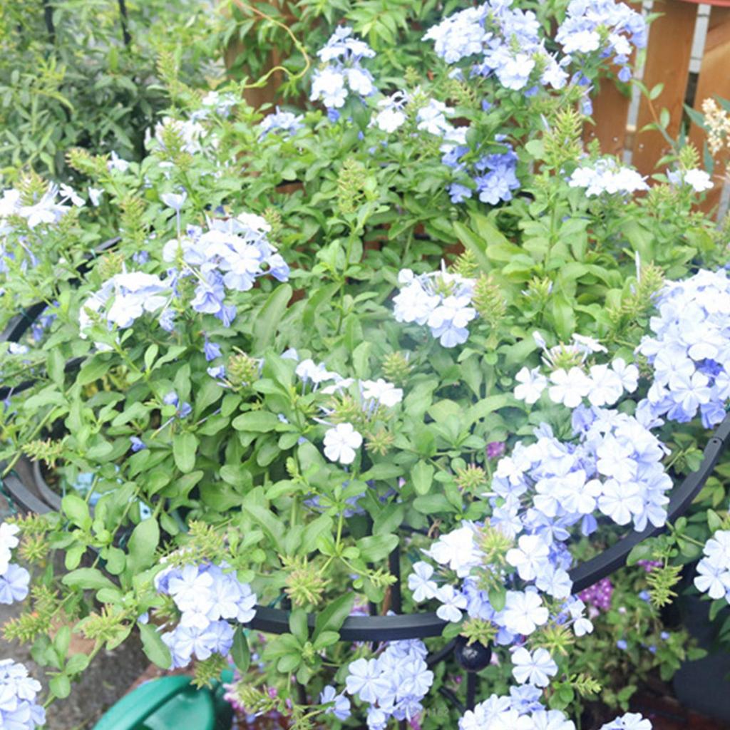 Gartenlaube Sonnenschirm Turm Pflanzenrankgitter Für Kletterpflanzen Unterstützung DIY Kletterrankgitter Blumenhalter Mode