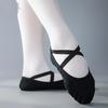 Bo Zong Stretch Fabric Dance Shoes