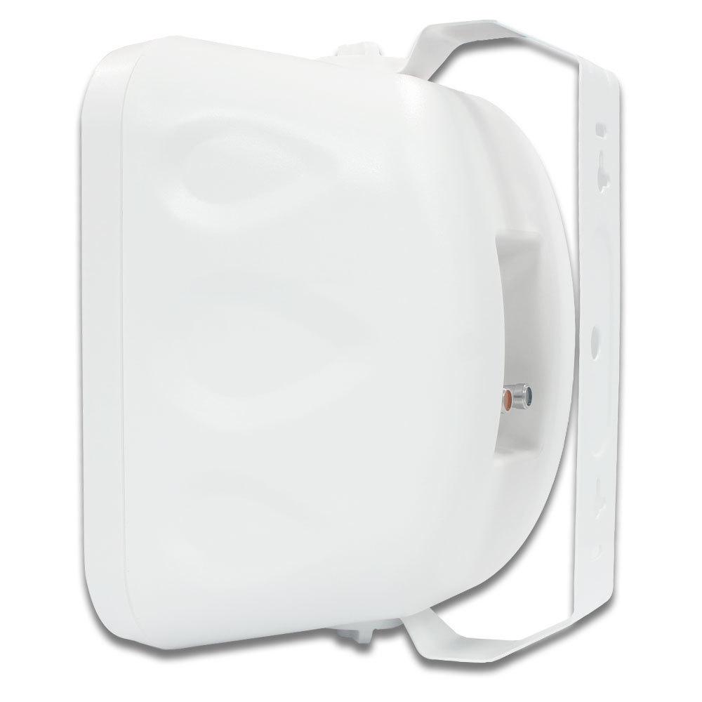 Tianlai 5.25" Outdoor Waterproof Hi-Fi Passive Speaker