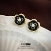 Elegant Gold-Plated Black Zircon Stud Earrings - Niche Design for a Luxurious Fashion Statement