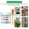100g Tree Wound Bonsai Cut Paste Smear Agent Pruning Compound Sealer with Brush Dashu Wound Healing Agent Repair Tools
