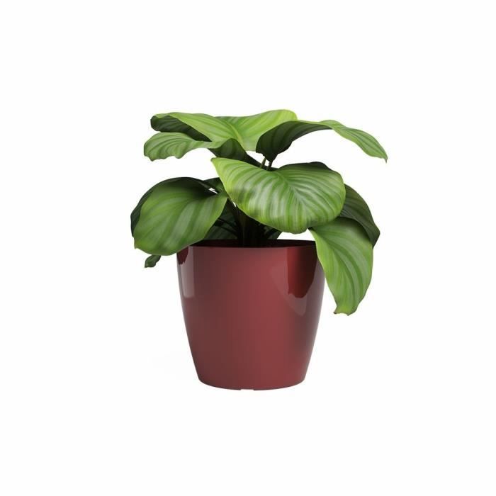ARTEVASI Pot De Fleur SAN REMO - 30 Br - Rouge Foncé - 30x30x27,3 Cm
