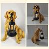 Garden Ornament with Illuminated Dogs Decorative Outdoor Lighting