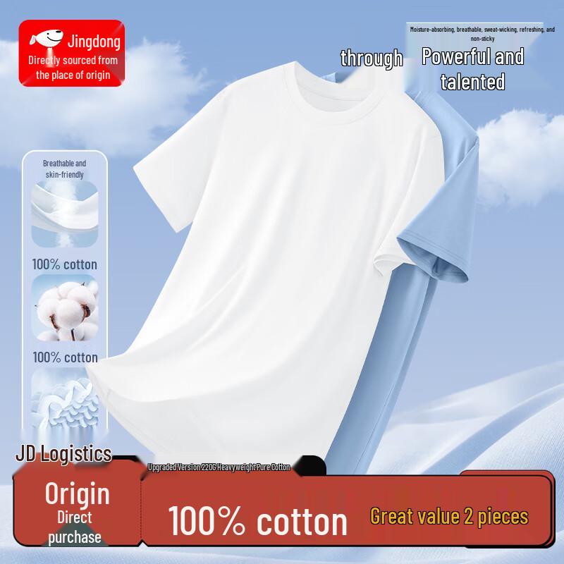 Men's Heavyweight Cotton Round Neck T-Shirt (2-Pack)