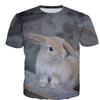 Funny Hamster Rabbit Animal 3D Print T-Shirts Summer Men Women Casual Oversized Short Sleeve T Shirt Male Tees Tops Man Clothing