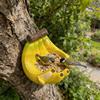 Resin Banana Bird Feeder Outdoor Decorative Bird Feeder Wall Mounted Wild Bird Feeder for Garden Backyard Decoration