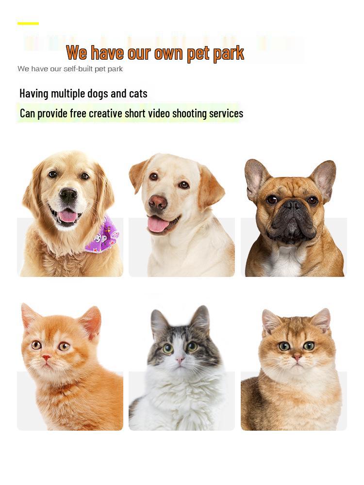 New Dog Toy: Balance Car Tumbler & Slow Feeder