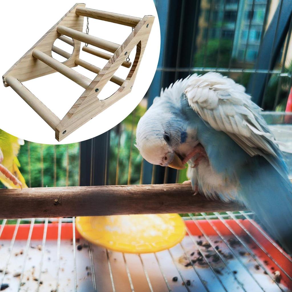 Chicken Perch Chick Stand,Sturdy,Stable, Gym Roosting Bar,Training Perches for Chicks