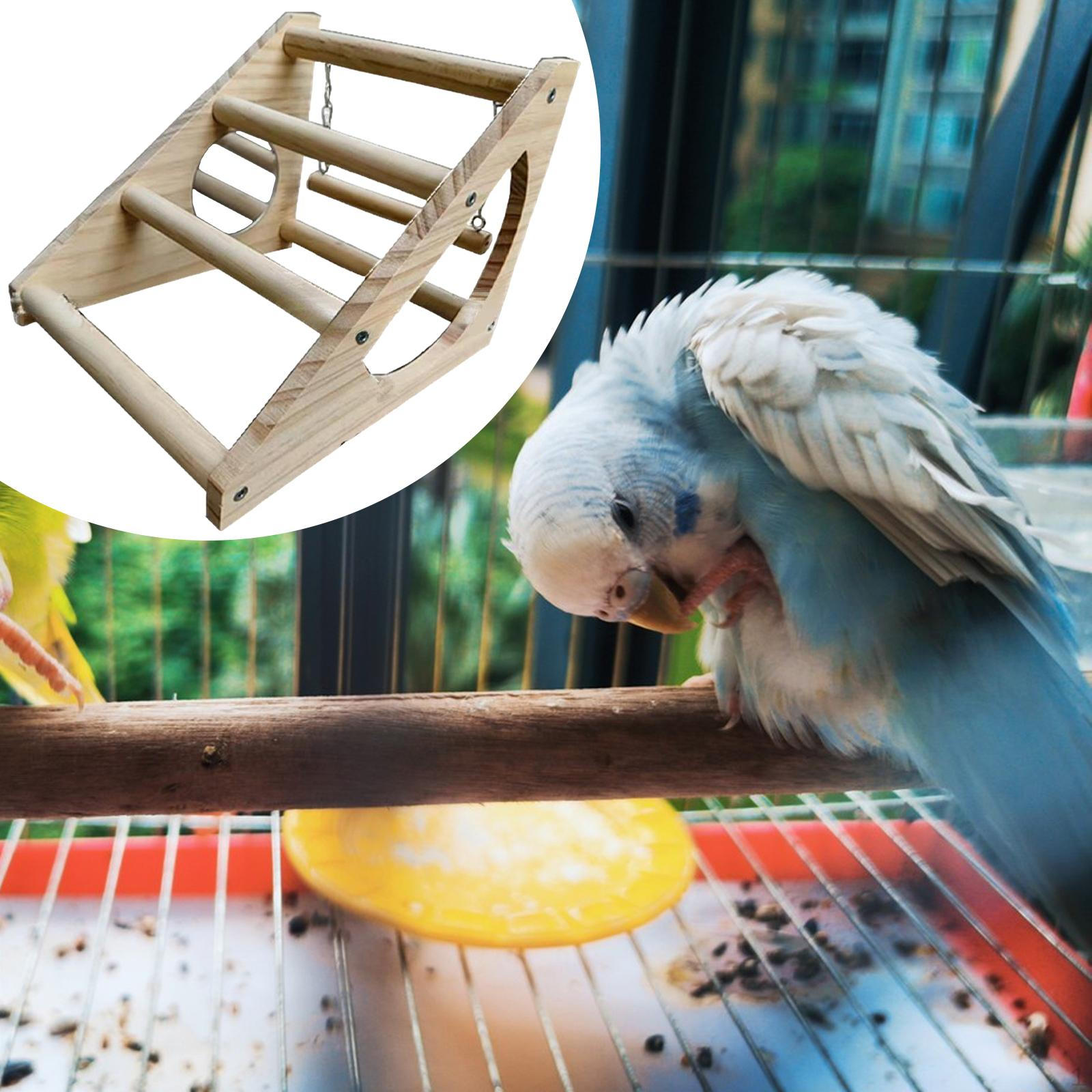 

Chicken Perch Chick Stand,Sturdy,Stable, Gym Roosting Bar,Training Perches for Chicks